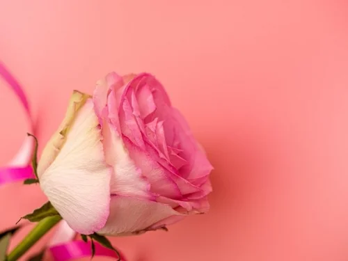 Rüyada Yabancı Erkeğin Yanına Yatmak