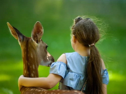 Rüyada Yanağından Öpülmek
