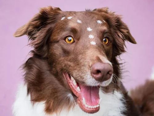 Rüyada Yangın Merdiveni Çıkmak
