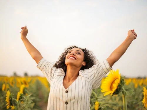 Rüyada Yeni Koltuk Satın Almak