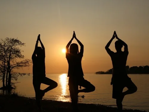 Rüyada Yeni Lacivert Araba Almak