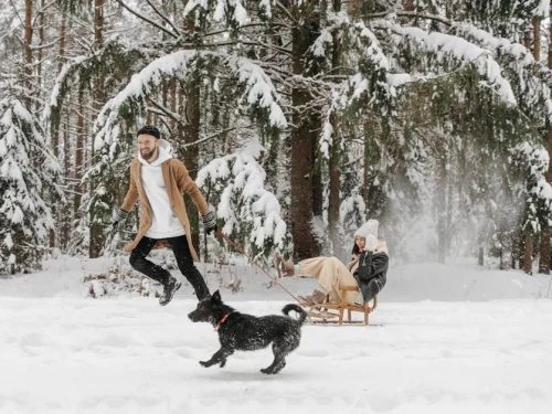 Rüyada Yeni Mont Satın Almak