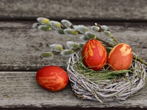 Rüyada Yılan Zehri Çıkarmak