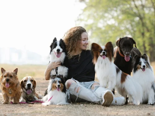 Rüyada Yılanı Evden Atmak