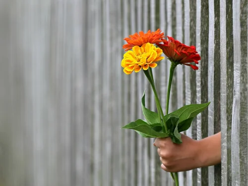 Rüyada Zengin Birisinin Evine Gitmek