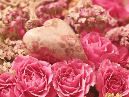 Rüyada Zeytin Tohumu Dikmek